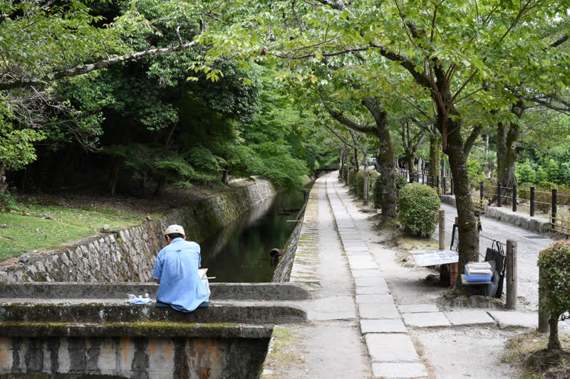 The Philosopher's Path in summer, stone walkway beside a canal under green canopy