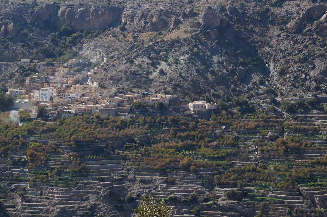 Ash Shirayjah village and its agricultural terraces on Jebel Akhdar