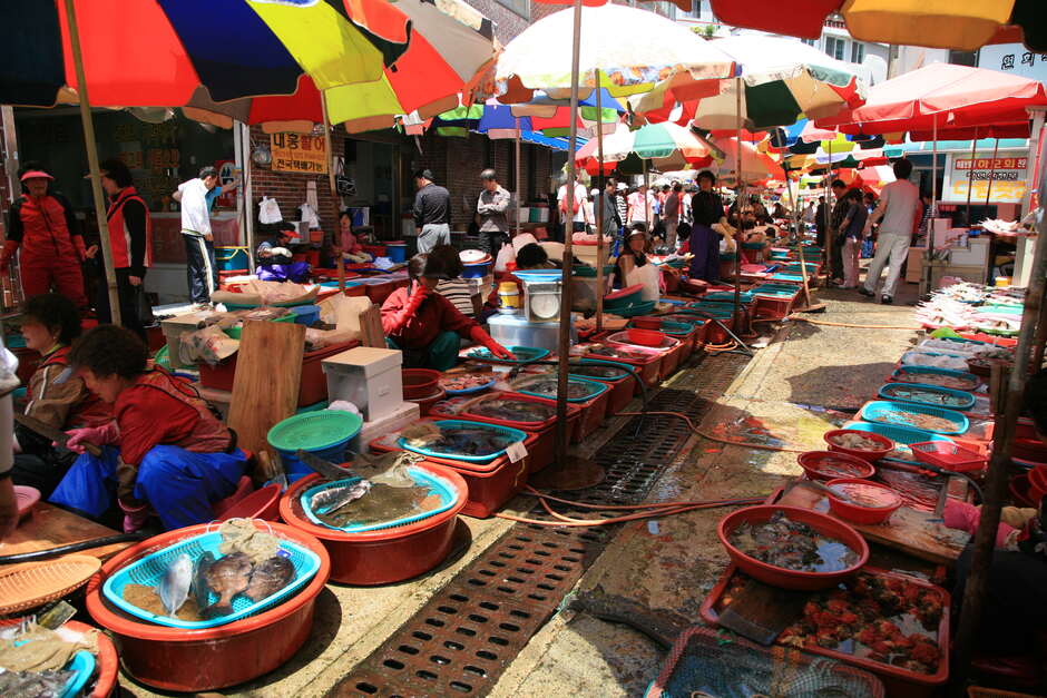 Tanks of live fish at Tongyeong's Jungang market